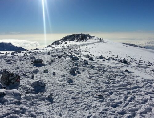 Climb Mount kilimanjaro